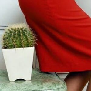Женщина садится на кактус
