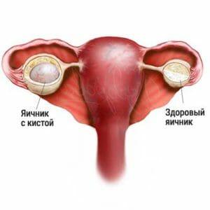 Уровень эстрадиола при менструации thumbnail