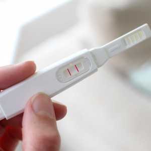 тест на беременность в руке
